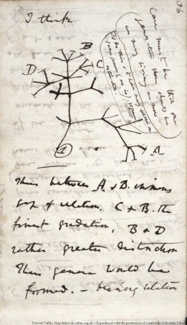 Darwin's First Notebook on Transmutation of Species, 1837